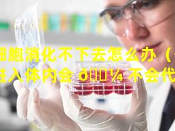 干细胞消化不下去怎么办（干细胞进入体内会 🐼 不会代谢掉）